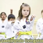 ace taekwondo livingston nj