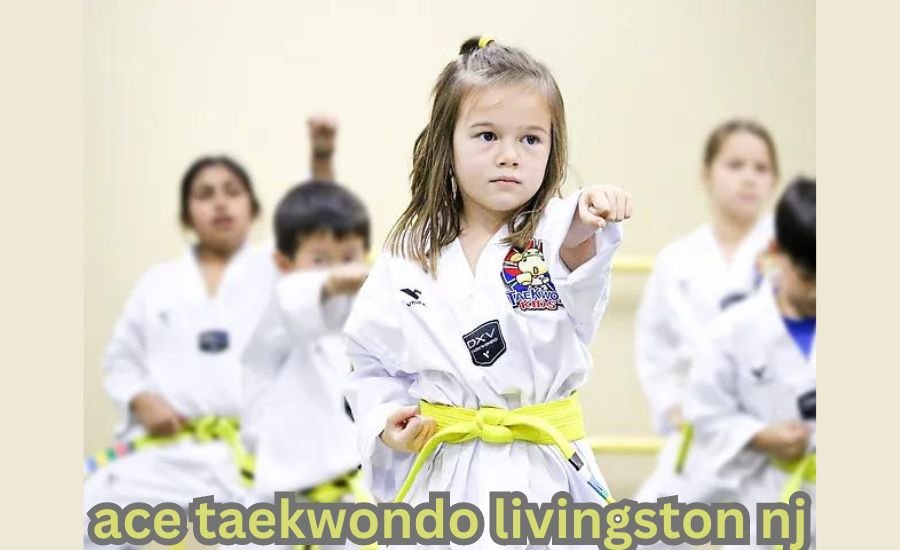 ace taekwondo livingston nj